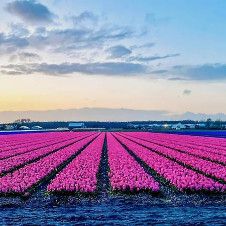 Feriehus 2 Bedroom Cozy In Noordwijkerhout