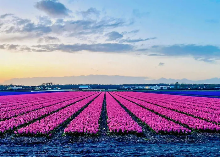 بيت للعطل 2 Bedroom Cozy In نوردفايكرهاوْت